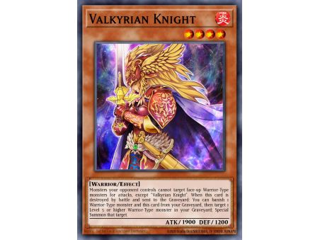 Valkyrian Knight (Common)