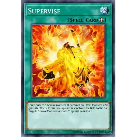 Supervise (Common)