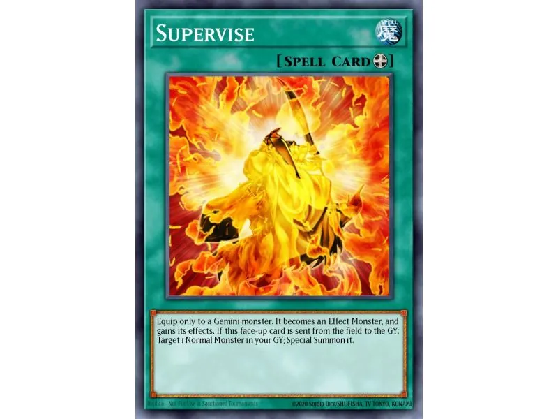 Supervise (Common)