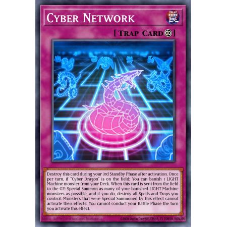 Cyber Network (Common)