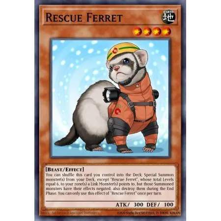 Rescue Ferret (Common)