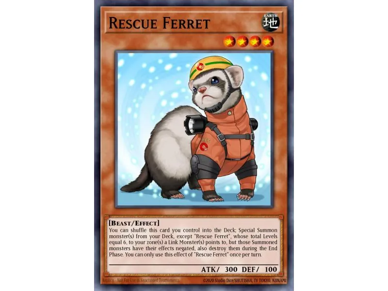 Rescue Ferret (Common)