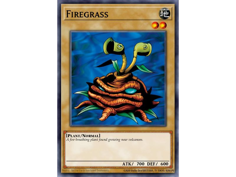 Firegrass (Common)