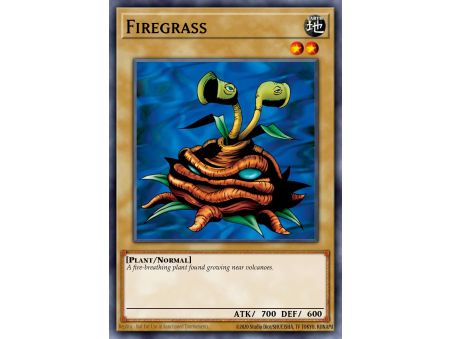 Firegrass (Common)