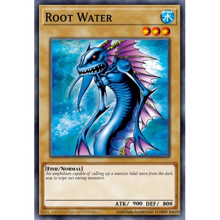 Root Water (Common)