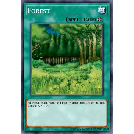 Forest (Common)