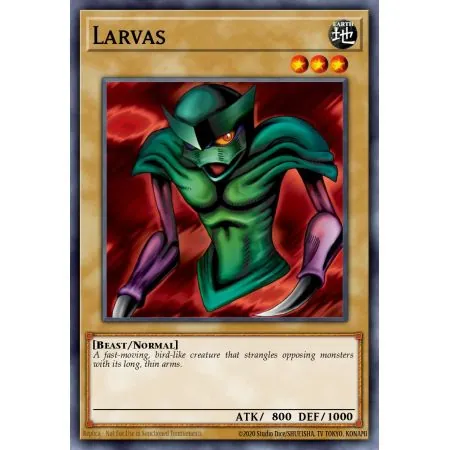Larvas (Common)