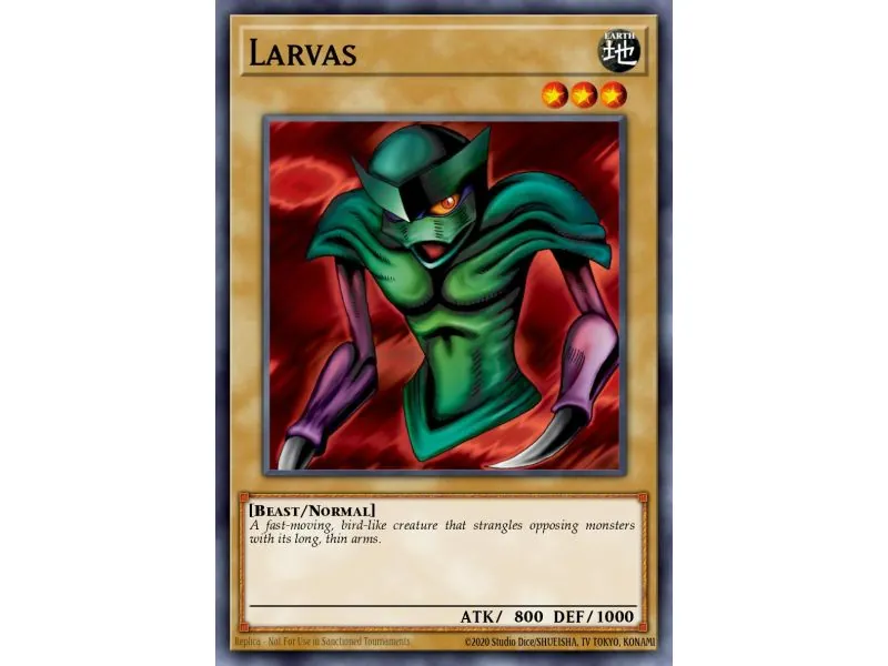 Larvas (Common)