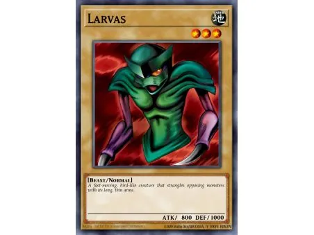 Larvas (Common)