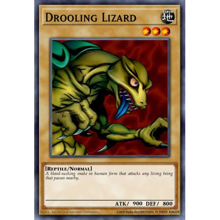 Drooling Lizard (Common)