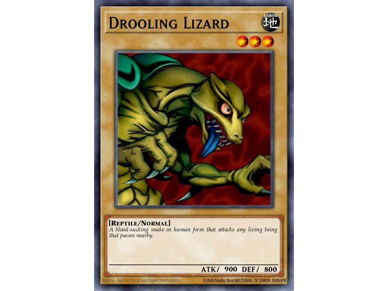 Drooling Lizard (Common)