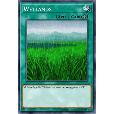 Wetlands (Common)