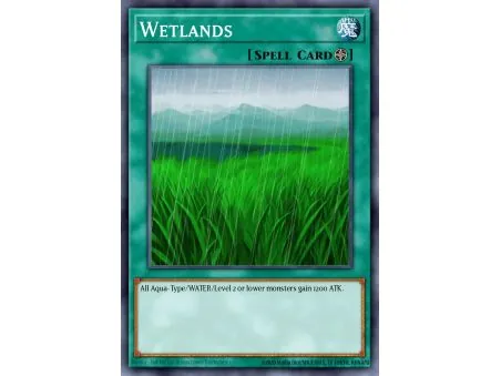 Wetlands (Common)