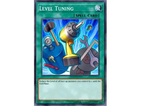 Level Tuning (Common)