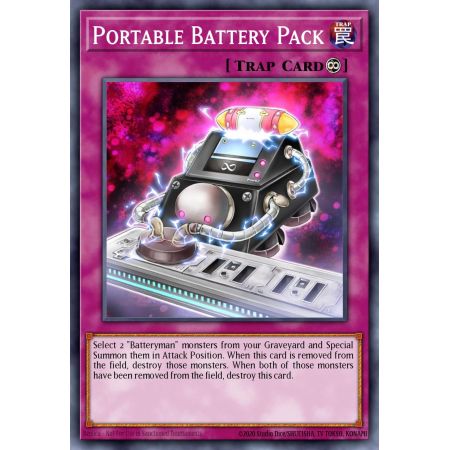 Portable Battery Pack (Common)