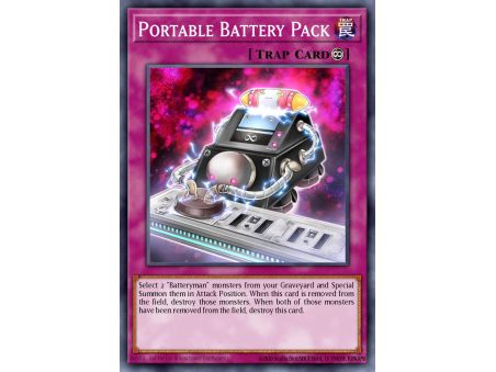 Portable Battery Pack (Common)