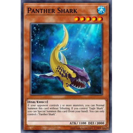 Panther Shark (Common)