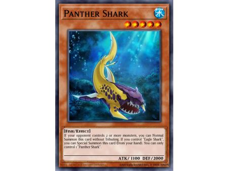 Panther Shark (Common)