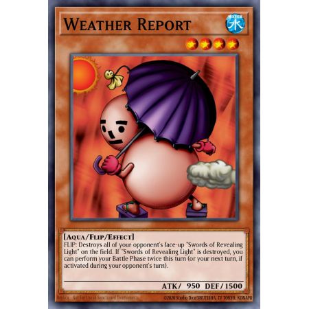 Weather Report (Common)