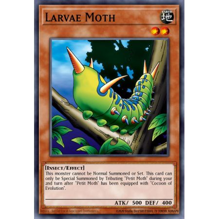 Larvae Moth (Common)