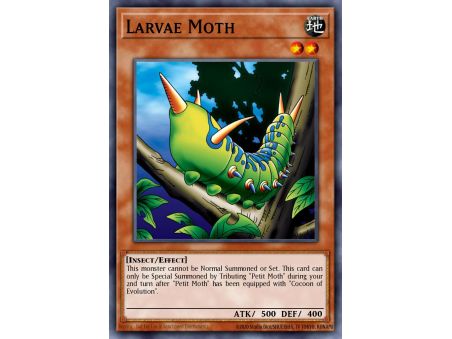 Larvae Moth (Common)