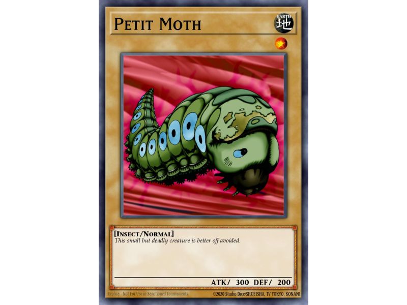 Petit Moth (Common)