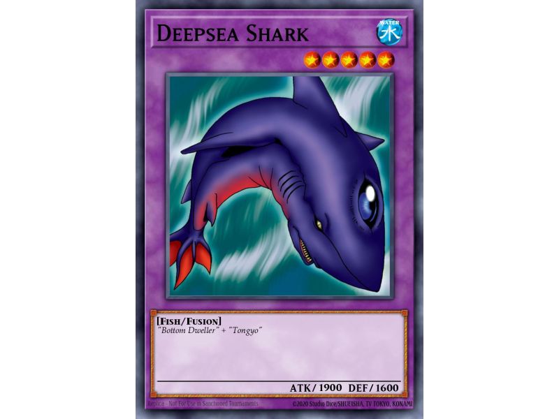 Deepsea Shark (Common)