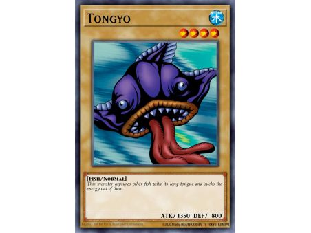 Tongyo (Common)