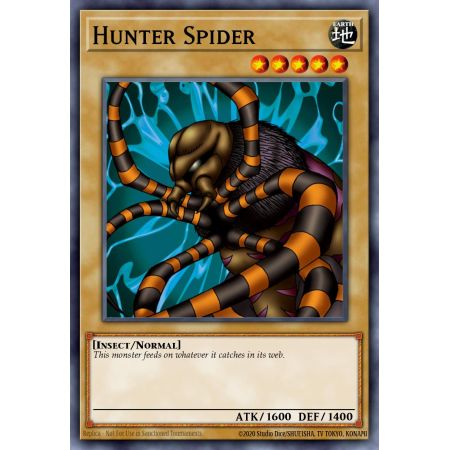 Hunter Spider (Common)