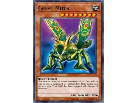 Great Moth (Rare)