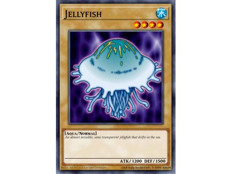 Jellyfish (Common)