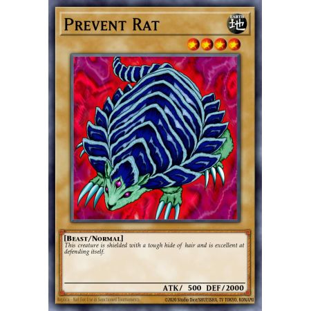 Prevent Rat (Common)