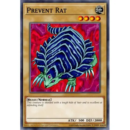 Prevent Rat (Common)