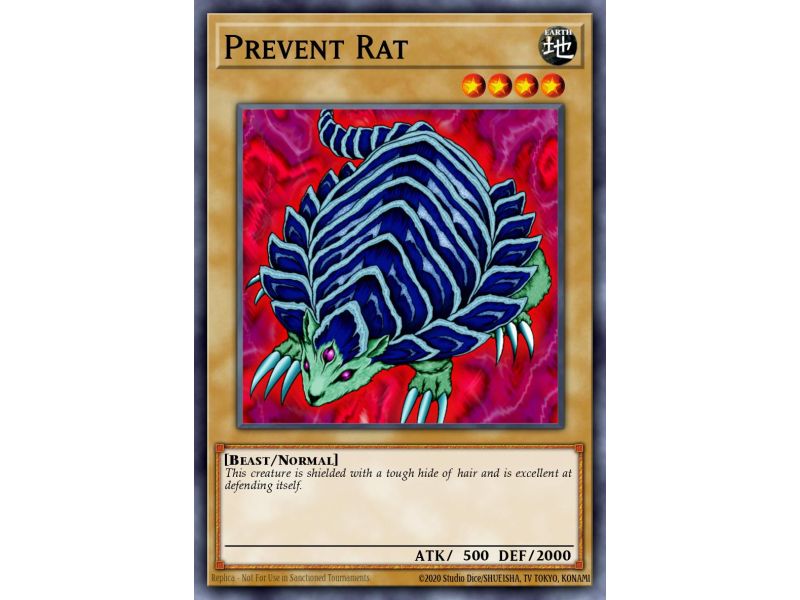 Prevent Rat (Common)