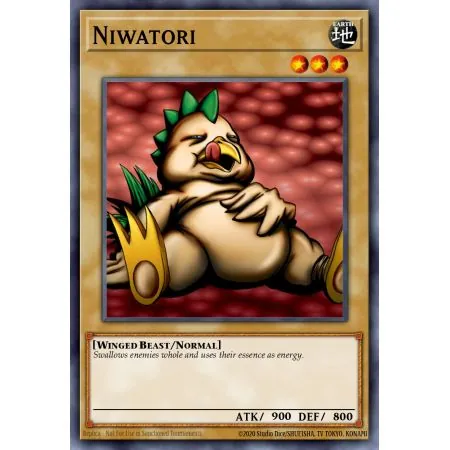 Niwatori (Common)