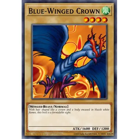 Blue-Winged Crown (Common)