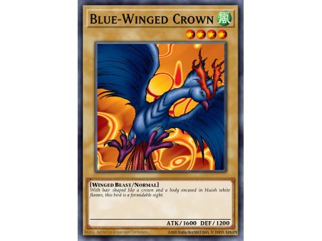 Blue-Winged Crown (Common)