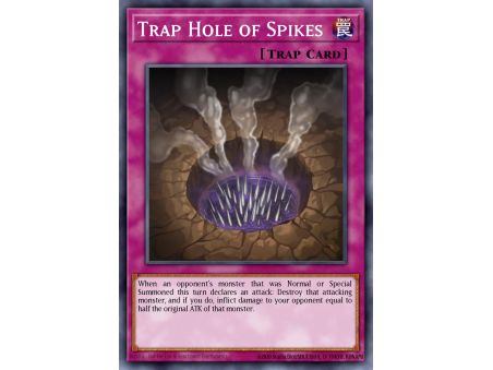 Trap Hole of Spikes (Super Rare)