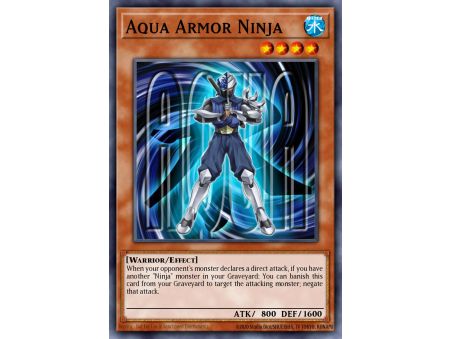Aqua Armor Ninja (Common)