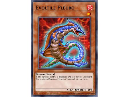 Evoltile Pleuro (Common)