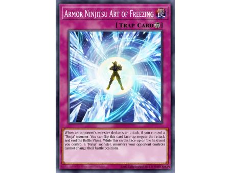 Armor Ninjitsu Art of Freezing (Common)