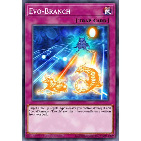 Evo-Branch (Common)