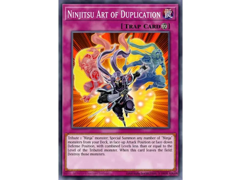 Ninjitsu Art of Duplication (Rare)