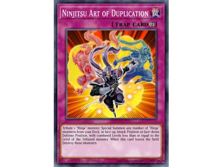 Ninjitsu Art of Duplication (Rare)