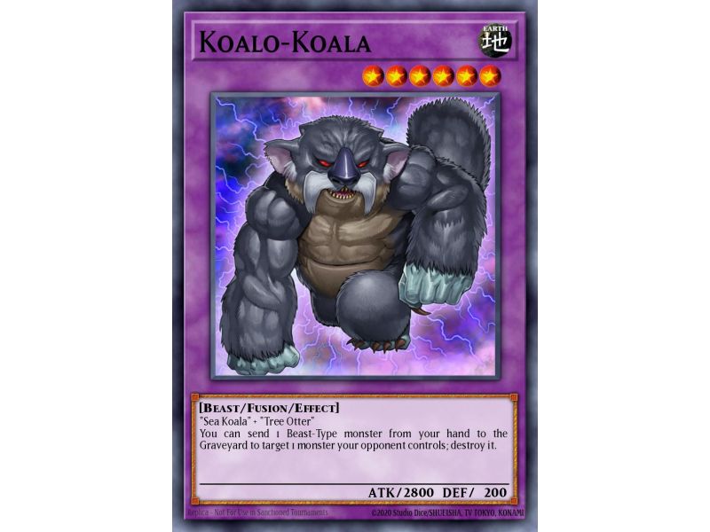 Koalo-Koala (Common)