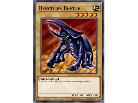 Hercules Beetle (Common)
