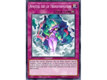 Ninjitsu Art of Transformation (Super Rare)