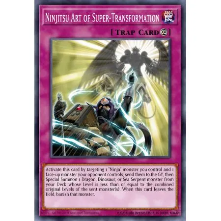 Ninjitsu Art of Super-Transformation (Common)