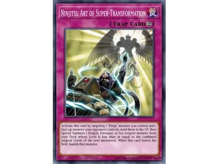 Ninjitsu Art of Super-Transformation (Common)