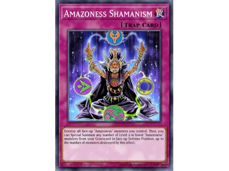 Amazoness Shamanism (Common)